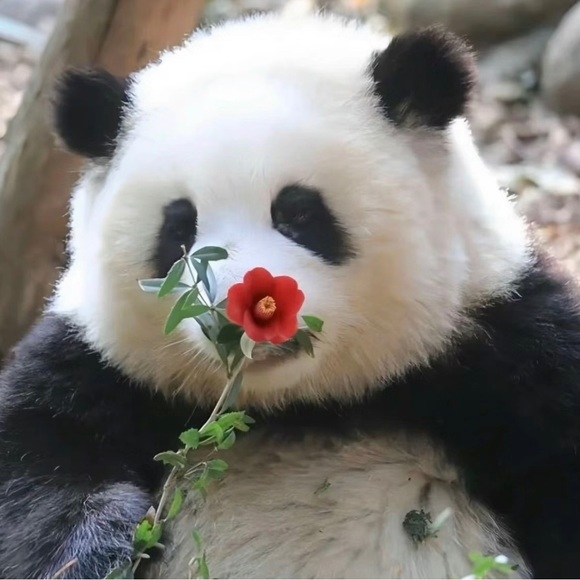 Meet your Posher, 🌛 - Picture 2 of 2